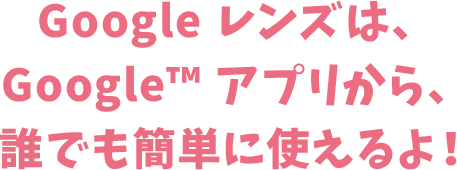 Google レンズは、 Google™ アプリから、誰でも簡単に使えるよ！